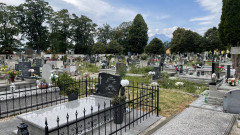 IMG_7311.jpeg, Jul 2025