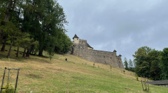 IMG_1764.jpeg, Jul 2025